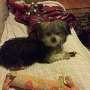 Meet your Posher, Suzanne